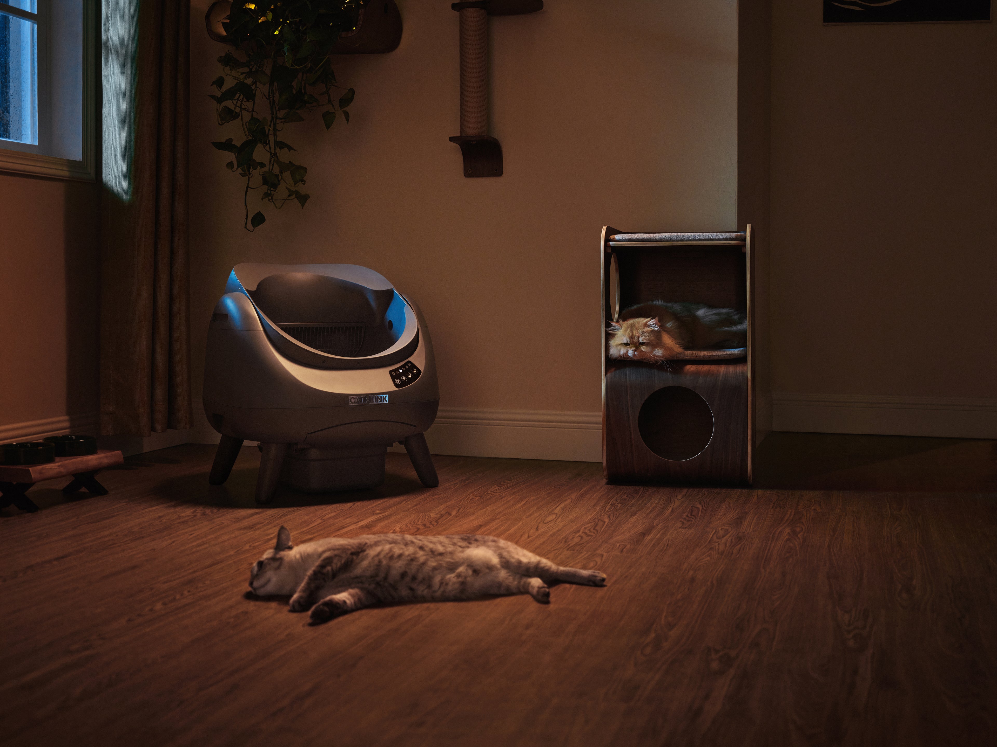 CATLINK Open-X Automatic Litter Box