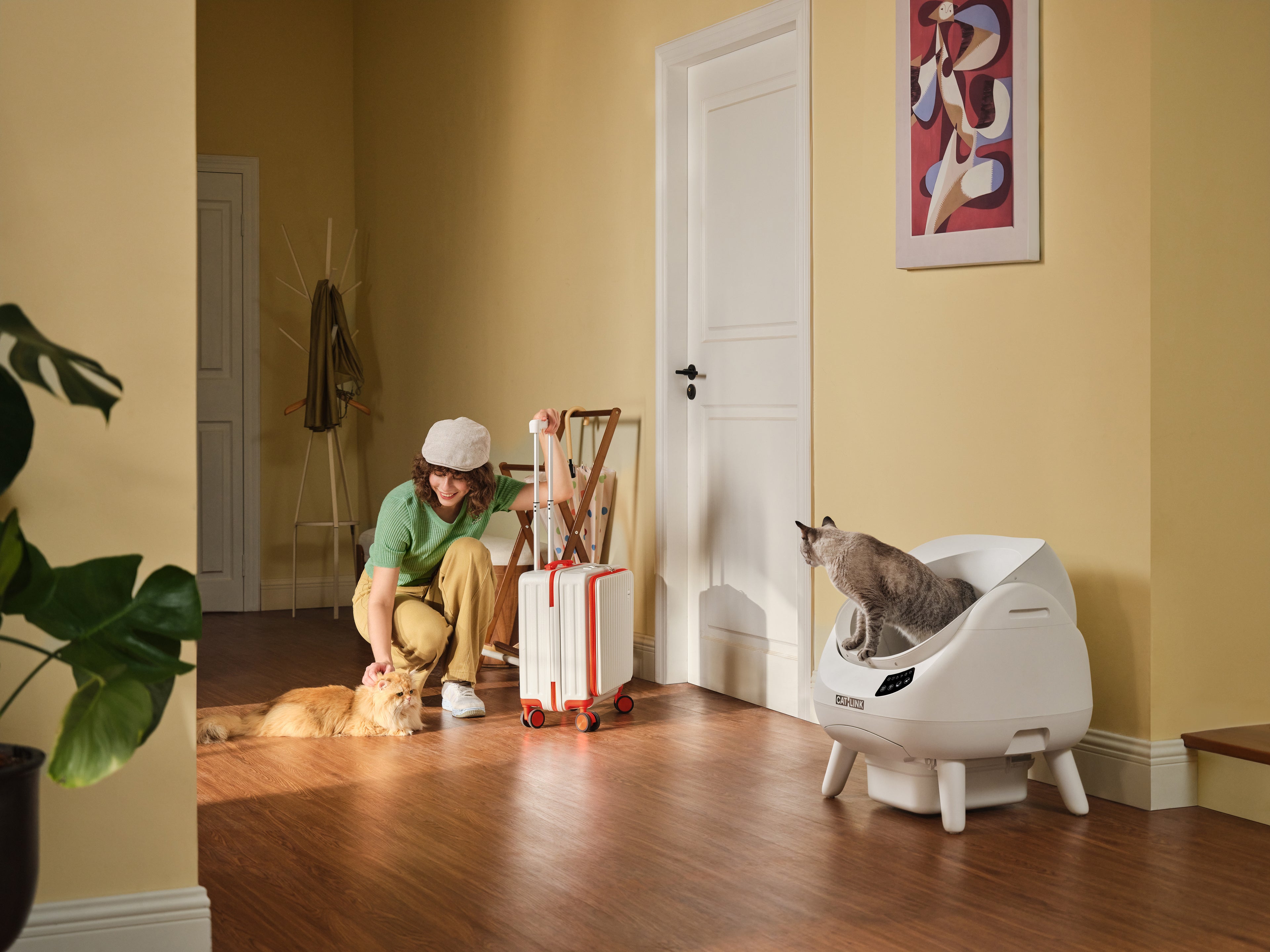 CATLINK Open-X Automatic Litter Box