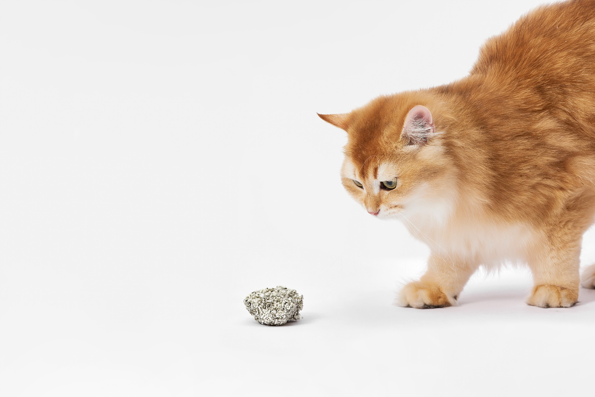 CATLINK Blandad kattsand