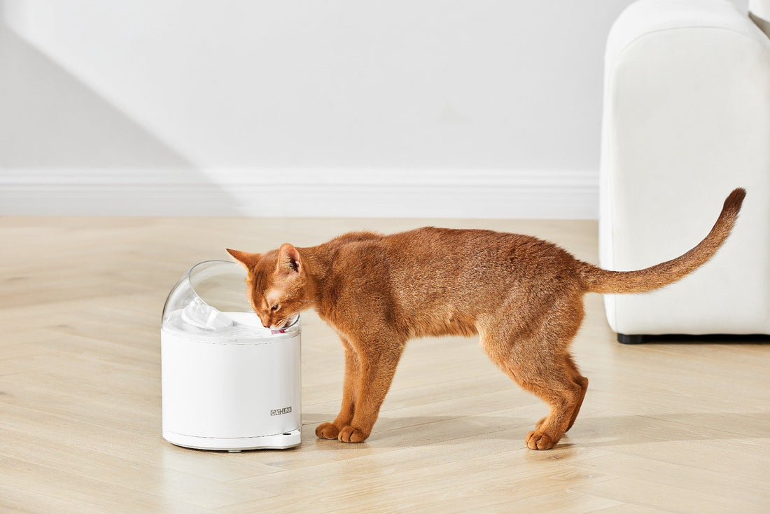 Catlink AI Water Fountain - Pure 2